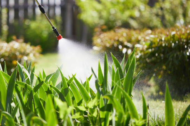Tamper-Resistant Bait Stations for Rodents in Ithaca